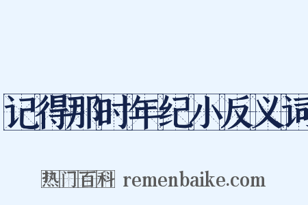 记得那时年纪小反义词是什么意思的图片